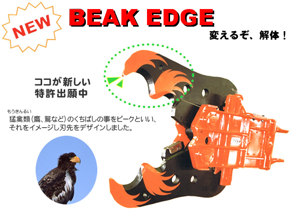 BEAK EDGE