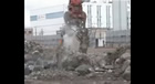 BEAK EDGE1