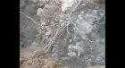 BEAK EDGE2